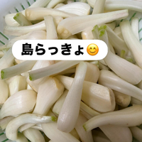 画像233