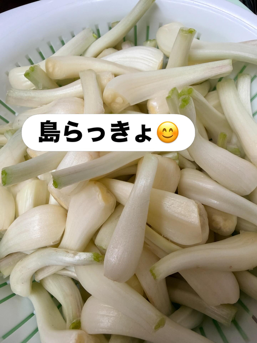 画像233