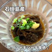 画像356